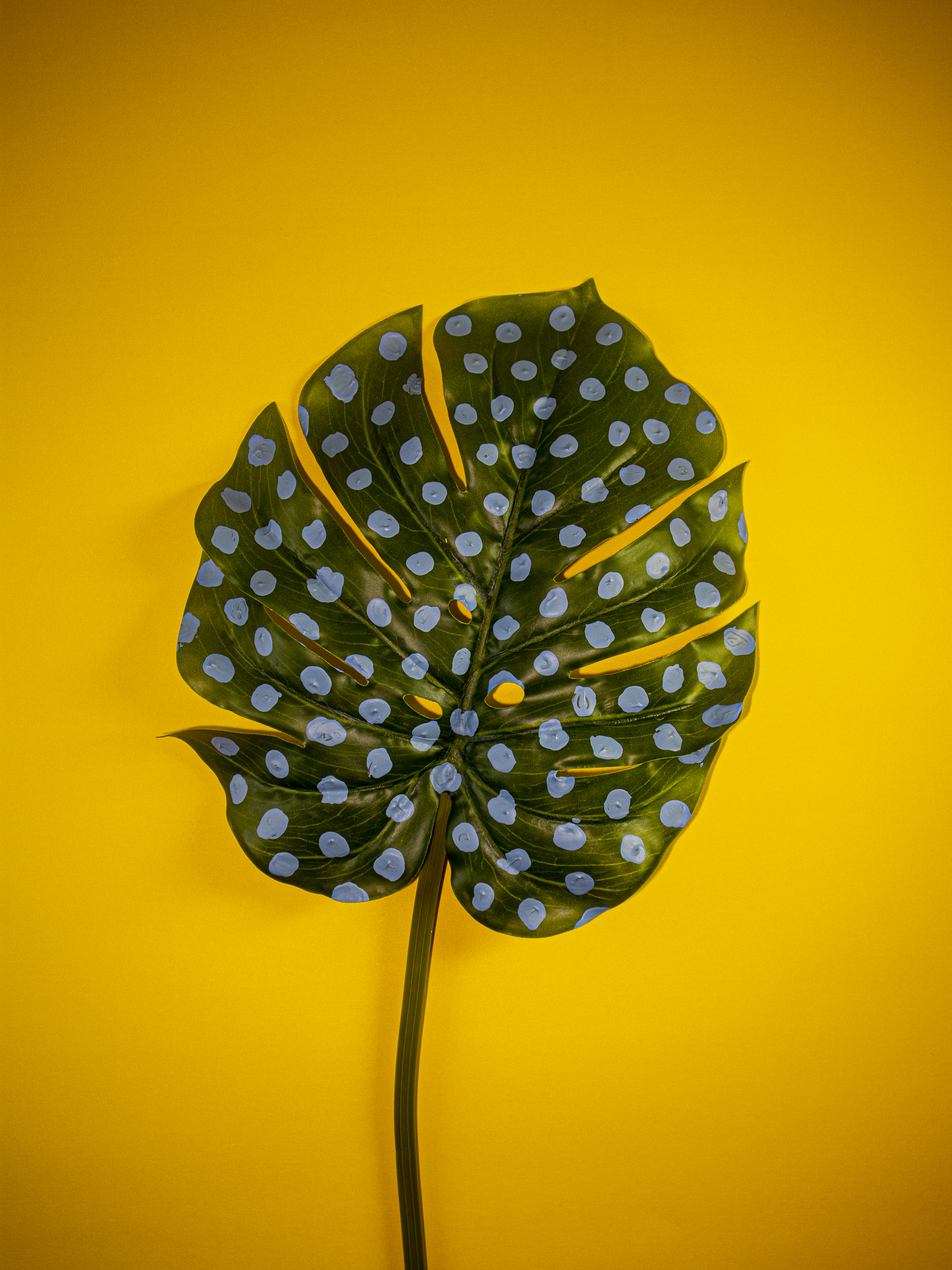 green leaf with blue dots of paint on leaf with yellow background